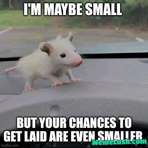 Just kidding guys. We don’t have even a small chance. Just kidding guys. We don’t have even a small chance.