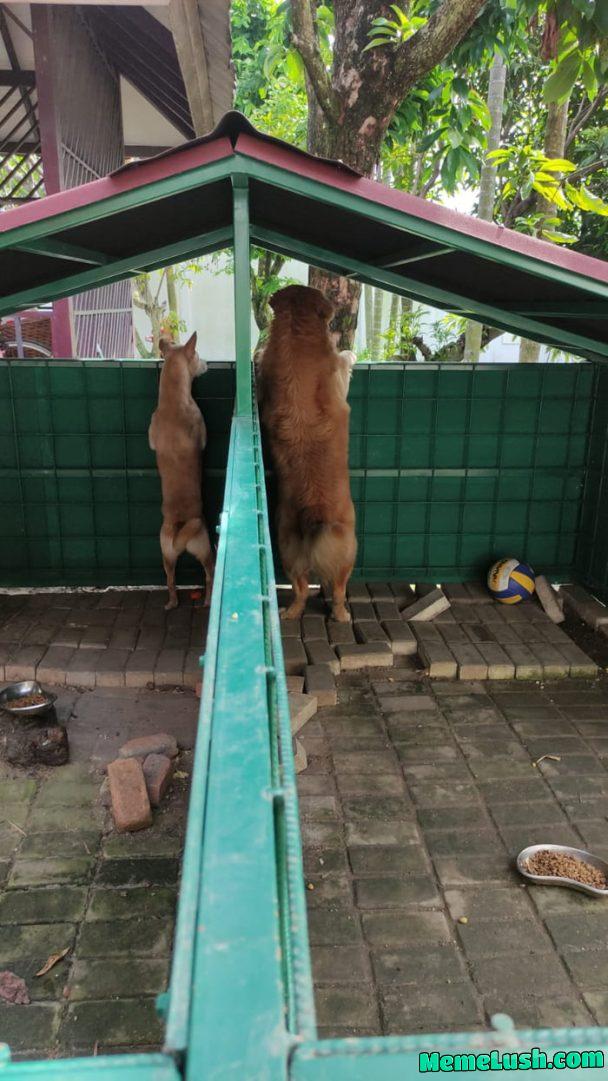 What they doin over there What they doin over there