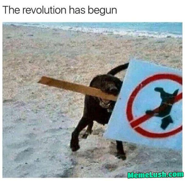 Become ungoodestable Become ungoodestable