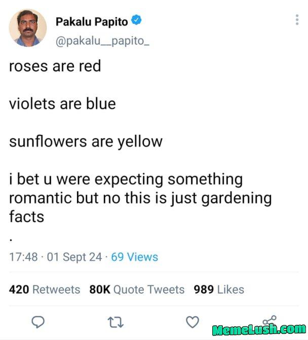 A short and witty title