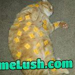 Shhh don’t wake him