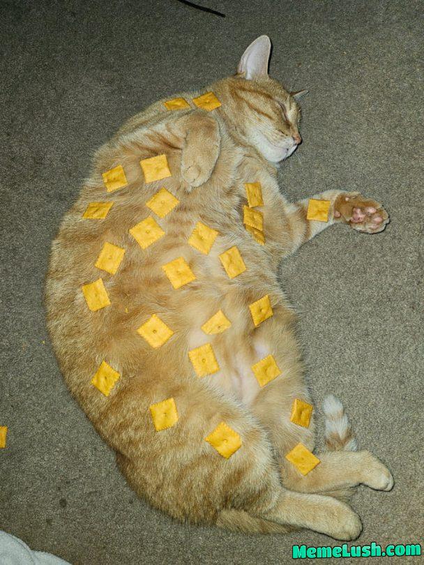 Shhh don’t wake him Shhh don’t wake him