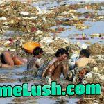 Will next pandamic start from India?