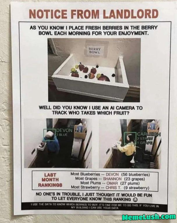 Landlord took it to the next level.