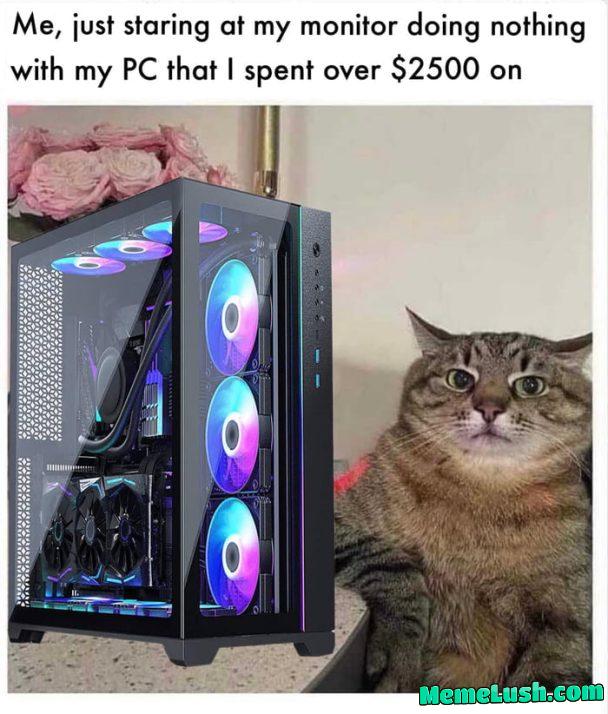 Posting memes I found on my smartphone until I get bored or die #697 Posting memes I found on my smartphone until I get bored or die #697