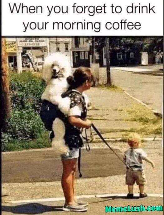 Better hold that dog Better hold that dog