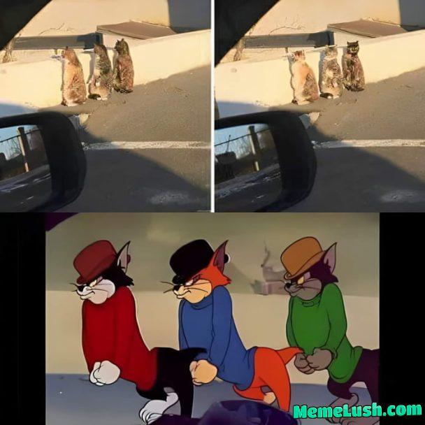 Do you recognise this gang? Do you recognise this gang?