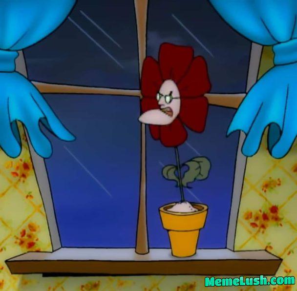 “You are beautiful like a flower” The flower: “You are beautiful like a flower” The flower: