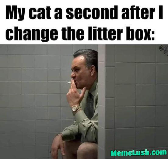 Every damn time. Every damn time.