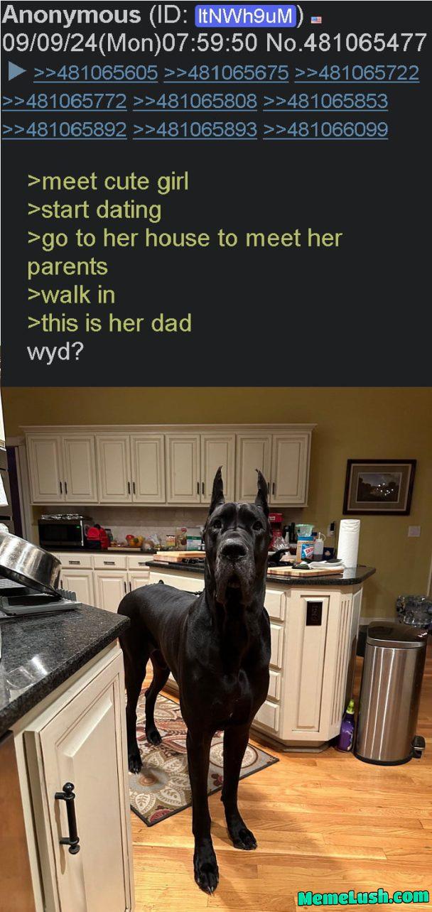 9gaggers, what do you do ? 9gaggers, what do you do ?