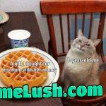 It’s the thought that counts!