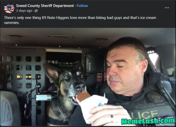 Ice cream sammies Ice cream sammies