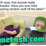 I need a cat therapist