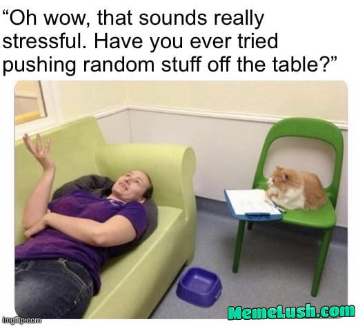 I need a cat therapist I need a cat therapist