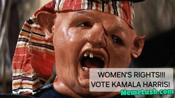 DEMOCRATS IN A NUTSHELL… DEMOCRATS IN A NUTSHELL…