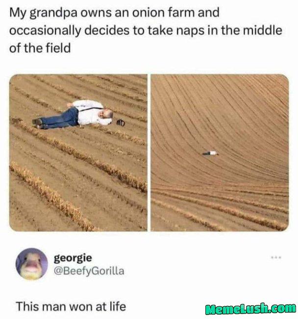 When life gives you onions.. nap