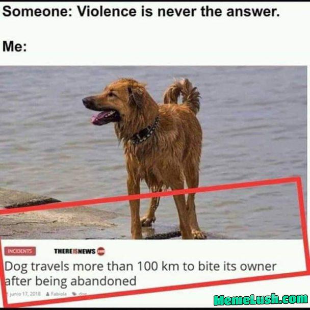 What a good boy What a good boy