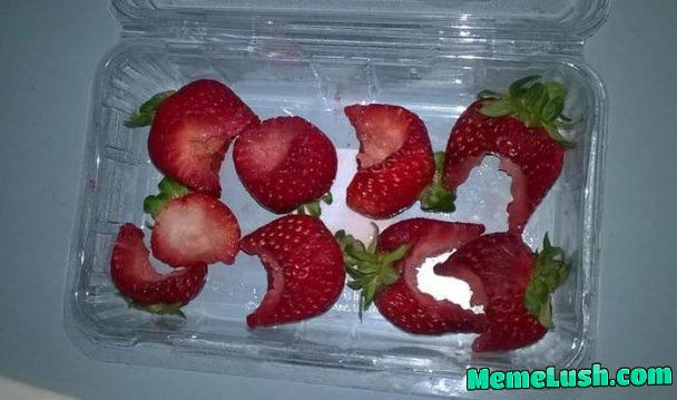 Living with a 3-year oldđ̤ Living with a 3-year oldđ̤