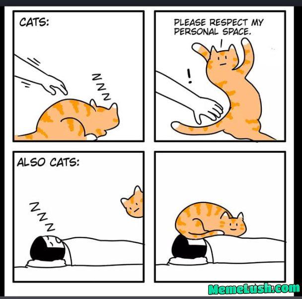 Please respect my personal space Please respect my personal space