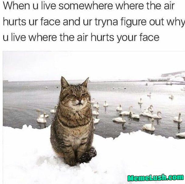 Posting memes I found on my smartphone until I get bored or die #727 Posting memes I found on my smartphone until I get bored or die #727