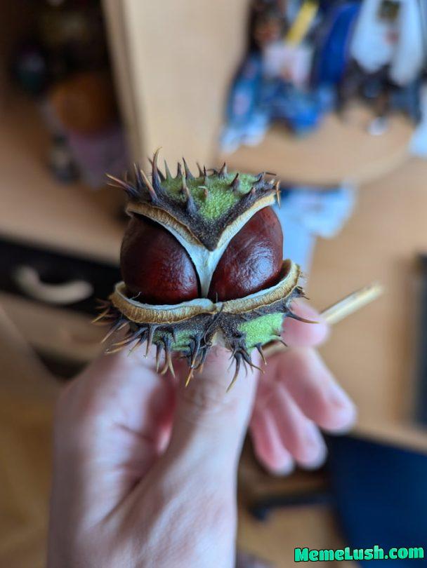 Everything reminds me of her… Everything reminds me of her…