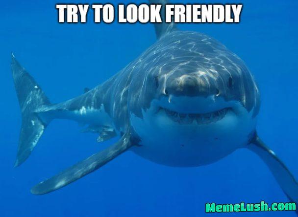 If not fren, why fren shaped? If not fren, why fren shaped?