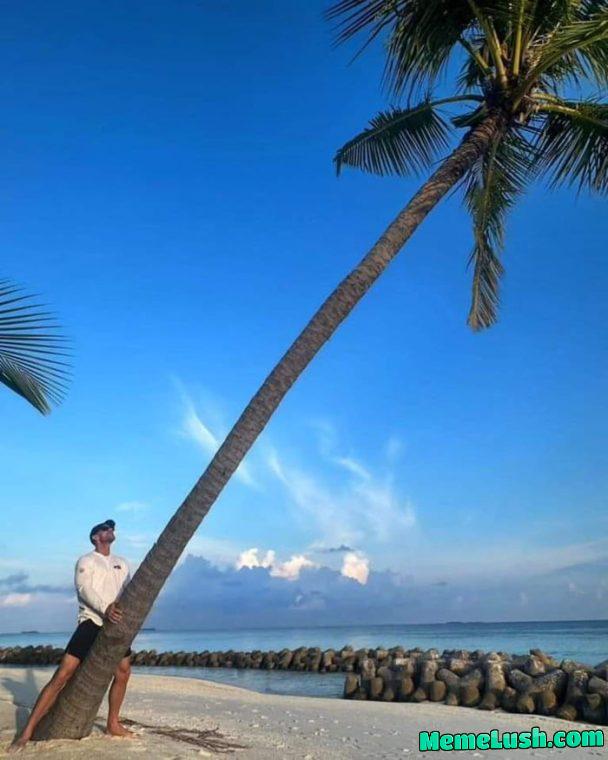 Jonny fuvk a coconut tree Jonny fuvk a coconut tree