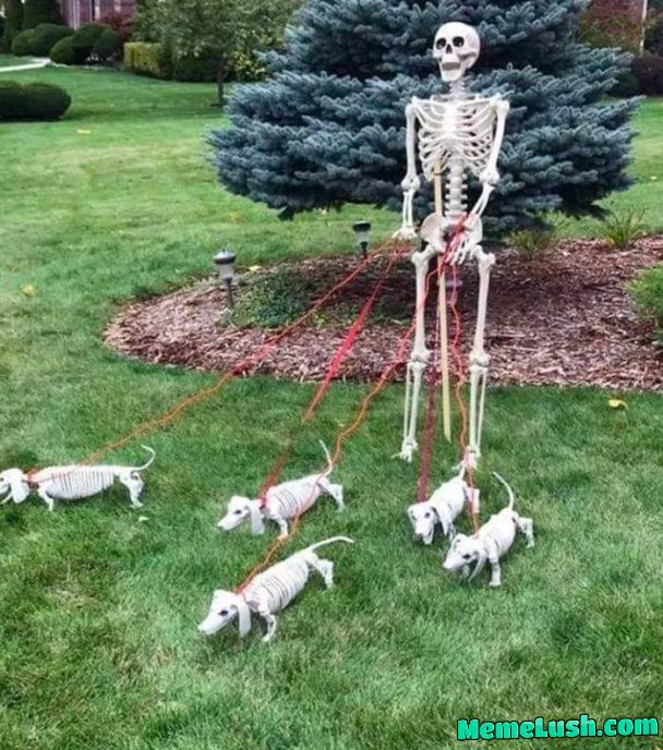 Getting a head startππ Getting a head startππ