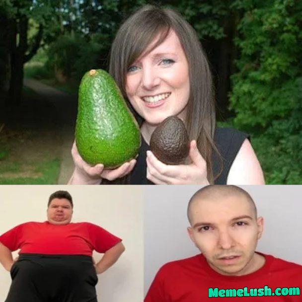 Avocado Comparison