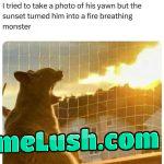 My cat’s on a hunting trip, and he hasn’t been home in a few days