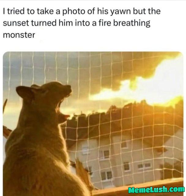 My cat’s on a hunting trip, and he hasn’t been home in a few days