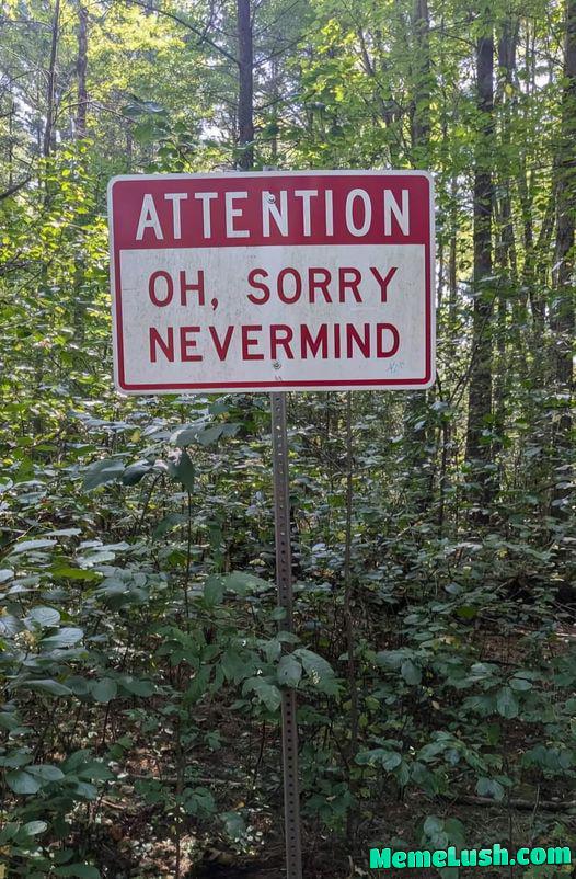 It wasn’t important…no, really It wasn’t important…no, really