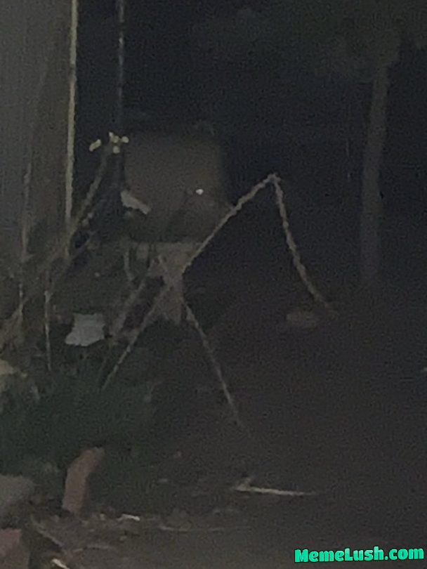 Iβmma hit u with this little dangly thingy Iβmma hit u with this little dangly thingy