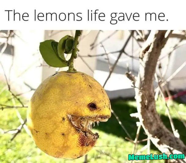 It’s a wonderful life