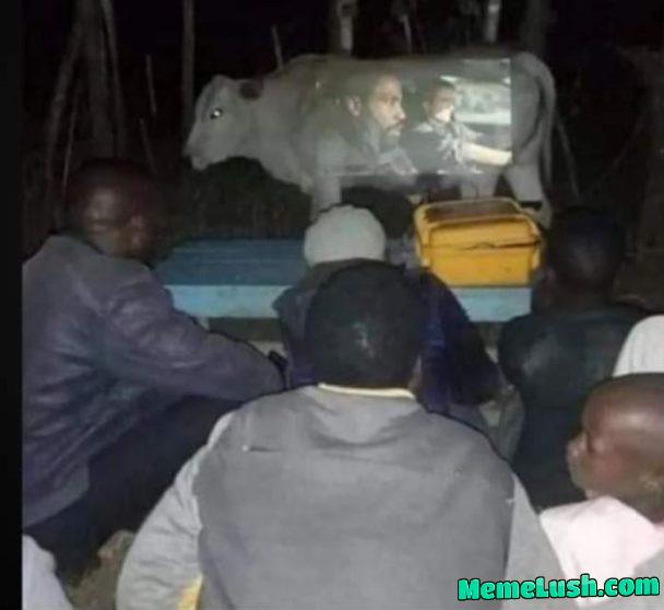 Who’s up for a mooovie night? Who’s up for a mooovie night?