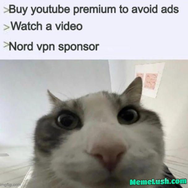 Ads everywhere