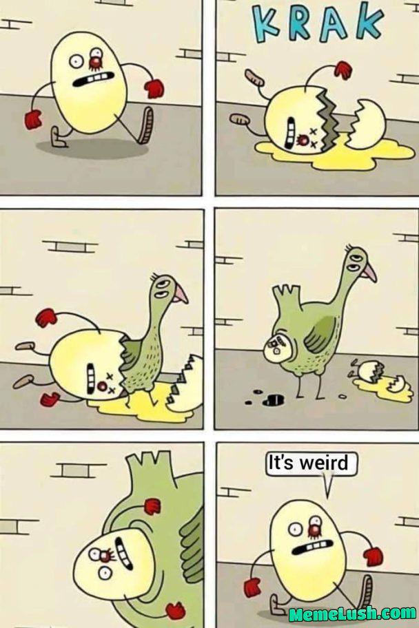 The chicken and the egg… all solved… The chicken and the egg… all solved…