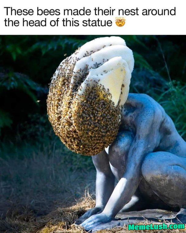 New encounter New encounter