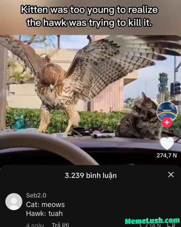 It’s time to stop! It’s time to stop!