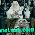 Be sure to cover your lasagna with aluminum foil to prevent this