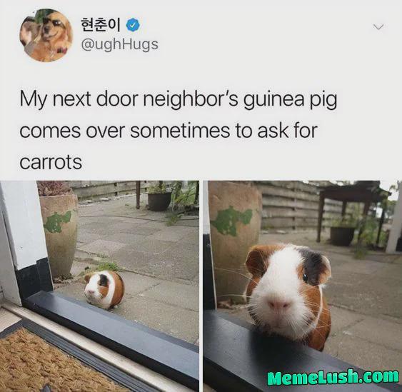 Give it for free Give it for free