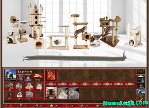 Catsle faction? Catsle faction?