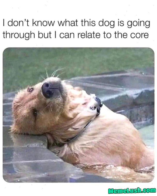 Me after pretending to have it together all day.