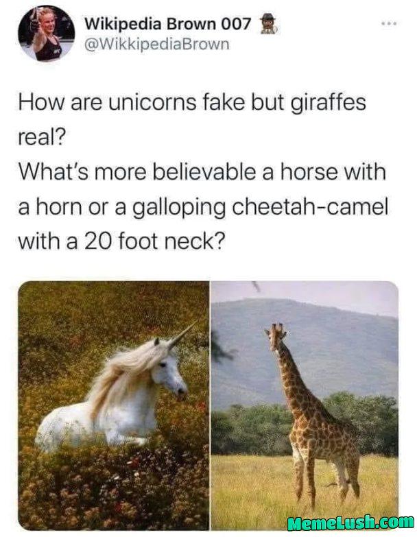 Excellent Point, No? Excellent Point, No?