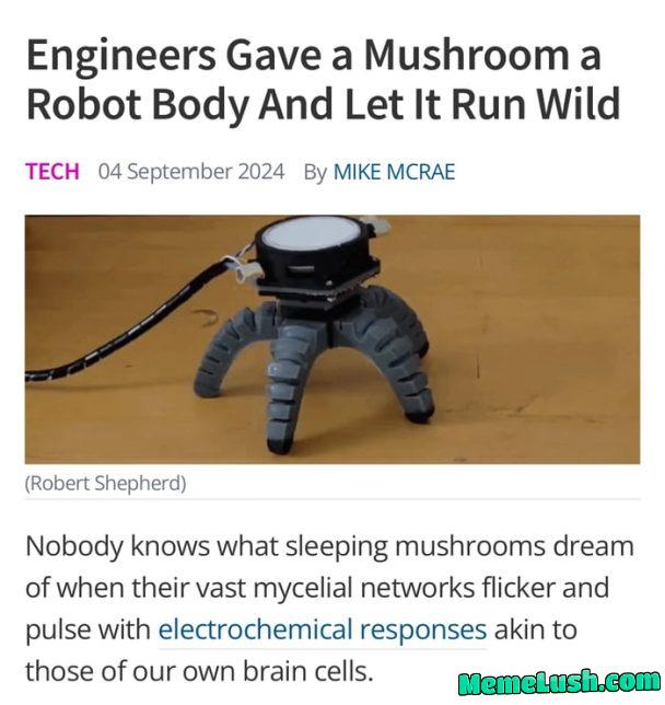 So we’re really out here giving mushrooms legs now…