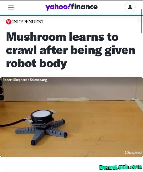 Man made horrors beyond my comprehension Man made horrors beyond my comprehension