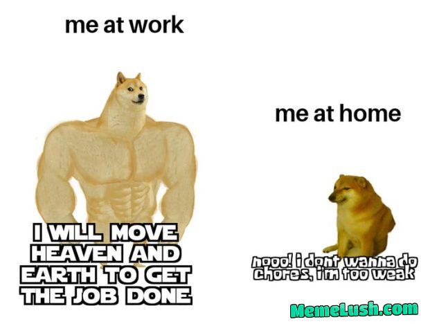 The last 6 months The last 6 months