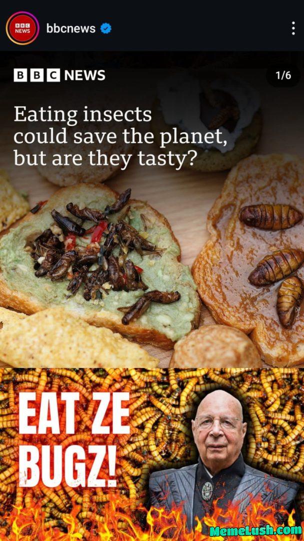 They are doing it again cause we didn’t hang them last time