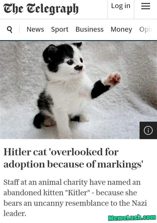 It’s time for 9gag to get an official pet It’s time for 9gag to get an official pet