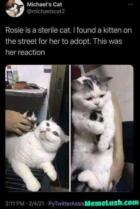 Be like rosie Be like rosie